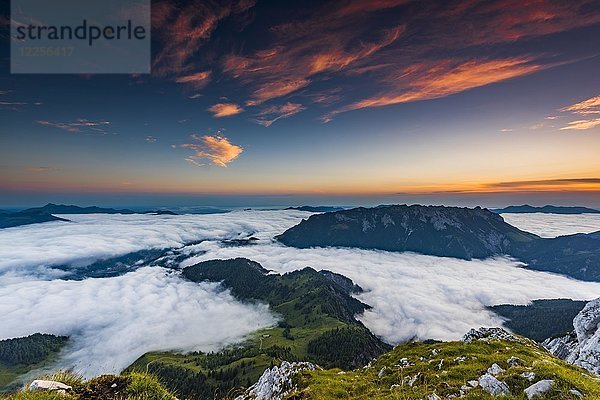 Berggipfel mit Nebelmeer bei Sonnenaufgang  Wilder Kaiser  Scheffau  Tirol  Österreich  Europa