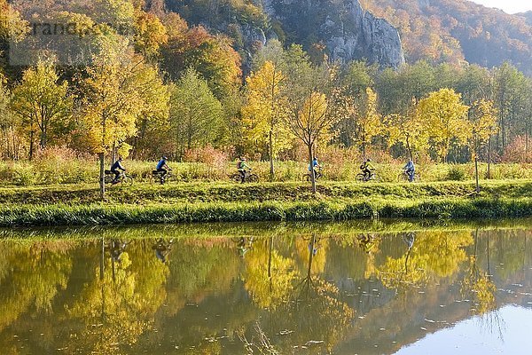 Radfahrer am Ludwig-Donau-Main-Kanal  bei Essing im Herbst  Altmühltal  Niederbayern  Bayern  Deutschland  Europa