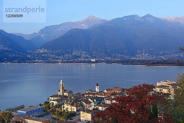 Blick auf Vira am Lago Maggiore  Tessin  Schweiz  Europa