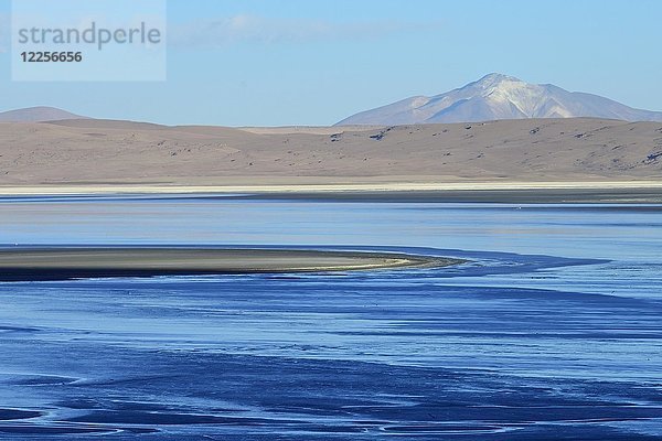 Lagune auf dem Altiplano  Reserva Nacional de Fauna Andina Eduardo Abaroa  Sur Lípez  Potosí  Bolivien  Südamerika
