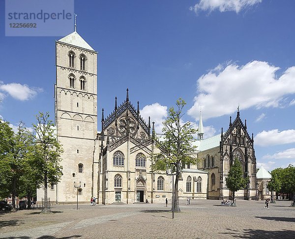 St.Paulus-Dom  Domplatz  Münster  Nordrhein-Westfalen  Deutschland  Europa