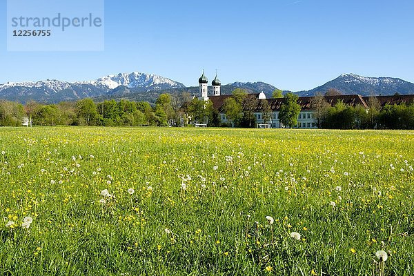 Kloster Benediktbeuern  hintere Benediktenwand Oberbayern  Bayern  Deutschland  Europa