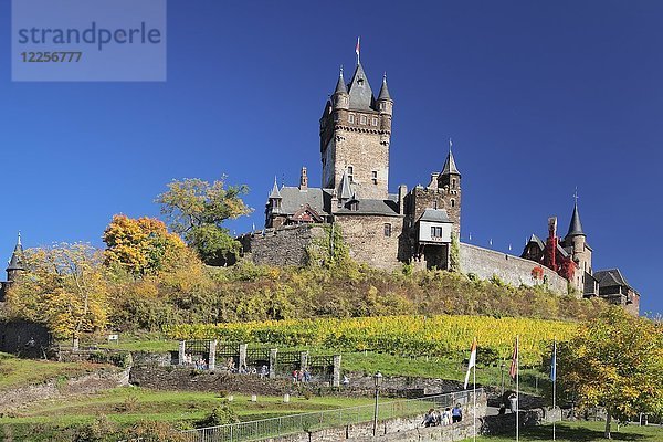 Burg Chochem und Weinberge im Herbst  Cochem  Rheinland Pfalz  Deutschland  Europa