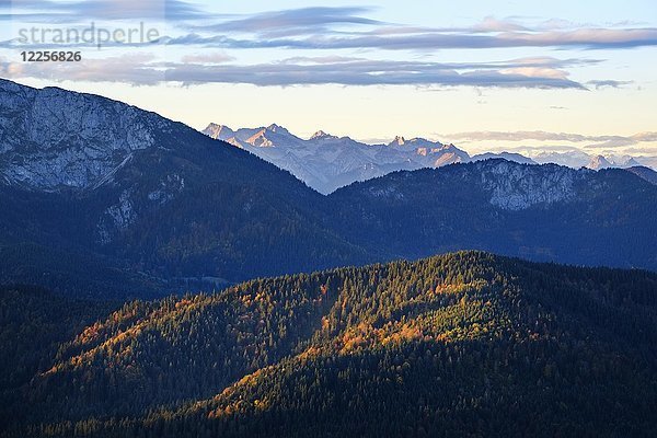 Karwendelgebirge mit Hochkarspitze  Morgenblick von Zwiesel bei Wackersberg  Isarwinkel  Oberbayern  Bayern  Deutschland  Europa