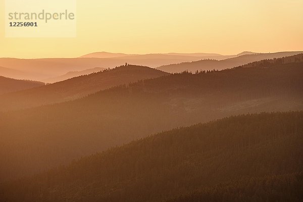 Böhmerwald in Tschechien im Morgenlicht  Blick vom Großer Osser bei Lam  Bayerischer Wald  Oberpfalz  Bayern  Deutschland  Europa