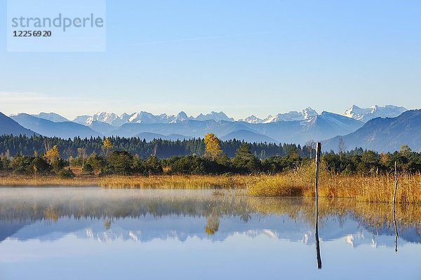 Herbstmorgen am Kirchsee  bei Sachsenkam  Alpenpanorama mit Karwendelgebirge  Oberbayern  Bayern  Deutschland  Europa