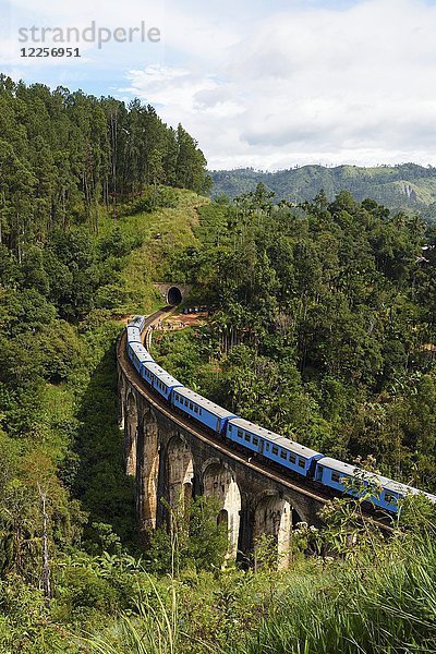 Zug auf der Neun-Bögen-Brücke im Hochland bei Ella  Sri Lanka  Asien