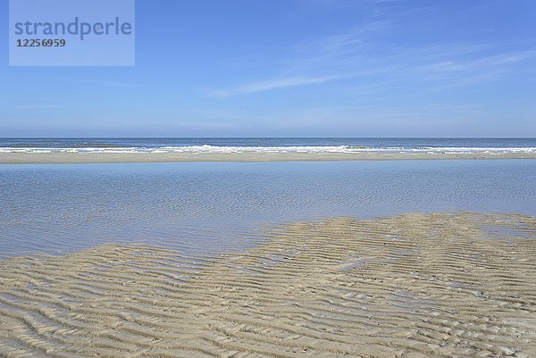 Strand bei Ebbe  wellenartige Struktur  Riffel im nassen Sand  Nordsee  Norderney  Ostfriesische Inseln  Niedersachsen  Deutschland  Europa