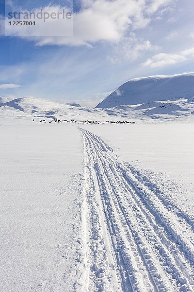 Spuren von Motorschlitten im Schnee  Kungsleden oder Königspfad  Provinz Lappland  Schweden  Skandinavien  Europa