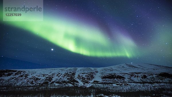 Nordlicht (Aurora borealis) über den Bergen  Kebnekaise Fjällstation  Kungsleden oder Königsweg  Provinz Lappland  Schweden  Skandinavien  Europa