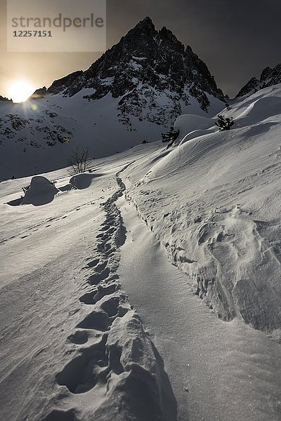 Gipfel der Dremelspitze im Winter mit Skispur bei Sonnenaufgang  Lechtal  Tirol  Österreich  Europa