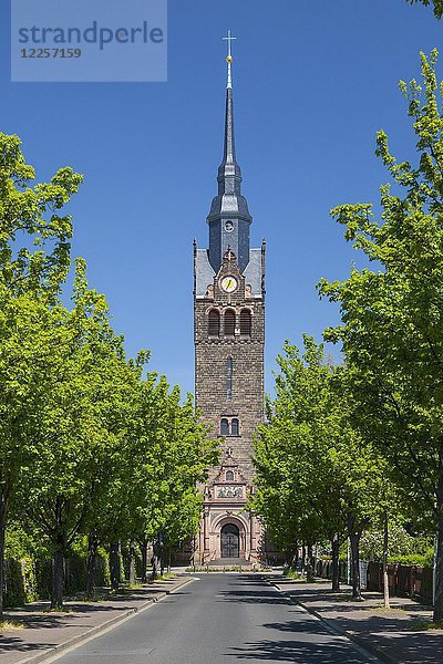 Peter-Pauls-Kirche mit Johann-Sebastian-Bach-Straße  Coswig  Sachsen  Deutschland  Europa