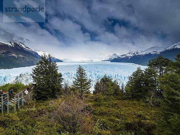 Perito Moreno  EL Calafate  Calafate  Provinz Santa Cruz  Patagonien  Argentinien  Südamerika