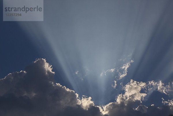 Sonnenstrahlen hinter einer dunklen Kumuluswolke  Deutschland  Europa