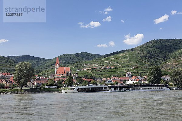 Panoramablick über die Donau nach Spitz an der Donau mit Pfarrkirche St. Mauritius  Wachau  Niederösterreich  Österreich  Europa