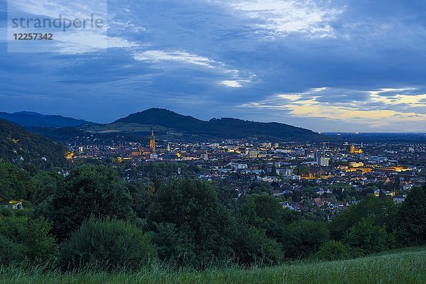 Stadtansicht in der Abenddämmerung  Freiburg im Breisgau  Baden-Württemberg  Deutschland  Europa