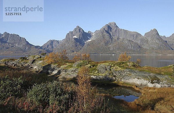 Herbstlandschaft  Trollfjord in Raftsund  Lofoten  Norwegen  Europa