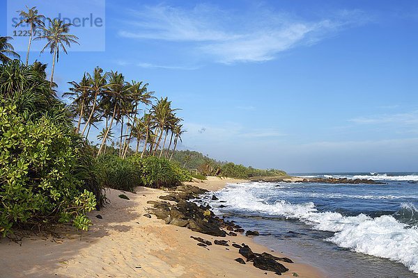 Palmen am Sandstrand mit Brandung  Indischer Ozean  Mirissa  Südprovinz  Sri Lanka  Asien