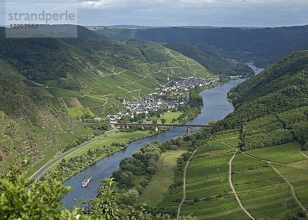Landschaft mit Weinbergen und Mosel  bei Eller  Rheinland-Pfalz  Deutschland  Europa