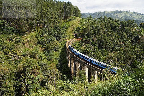 Zug auf der Neun-Bögen-Brücke im Hochland bei Ella  Sri Lanka  Asien