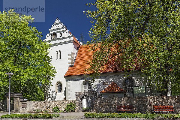 eriHage-geschützte alte Kirche  Coswig  Sachsen  Deutschland  Europa