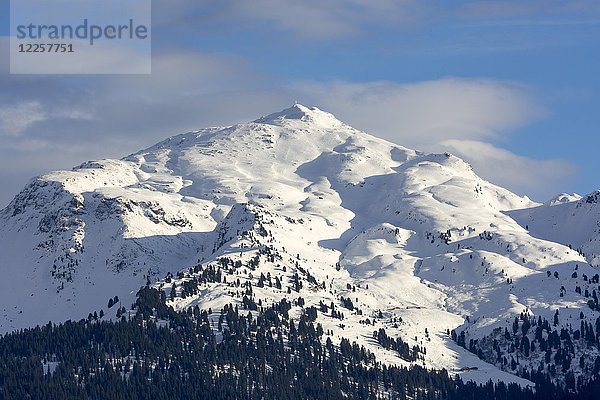 Schneebedeckter Gipfel des Gilfert im Winter  Tuxer Alpen  Tirol  Österreich  Europa