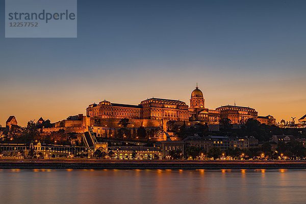 Donau und Burgberg mit Budaer Burg  Blaue Stunde  Budapest  Ungarn  Europa