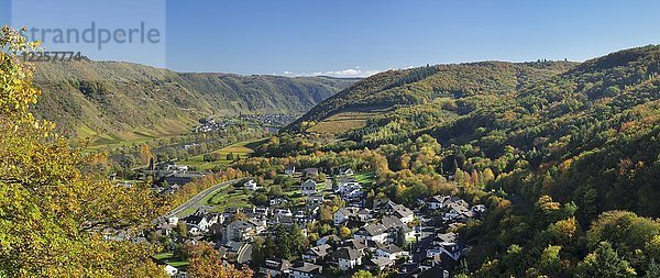 Blick über das Moseltal bei Cochem im Herbst  Mosel  Rheinland Pfalz  Deutschland  Europa
