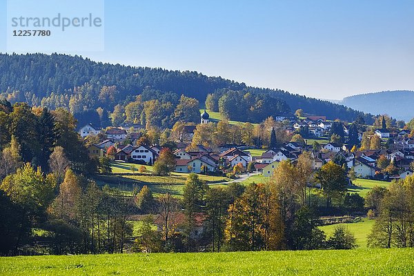 Grafenwiesen  Bayerischer Wald  Oberpfalz  Bayern  Deutschland  Europa