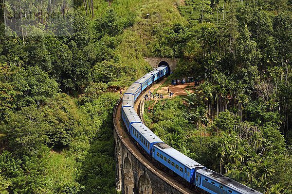 Zug auf der Neun-Bögen-Brücke im Hochland bei Ella  Sri Lanka  Asien