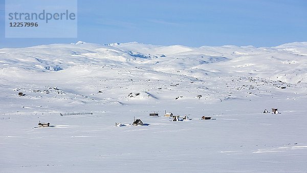 Samische Besiedlung im Schnee  Kungsleden oder Königspfad  Provinz Lappland  Schweden  Skandinavien  Europa