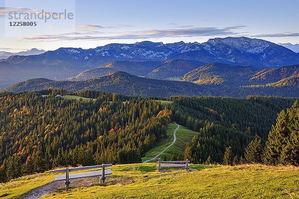 Brauneck und Benediktenwand  Blick vom Zwiesel bei Wackersberg  Isarwinkel  Oberbayern  Bayern  Deutschland  Europa