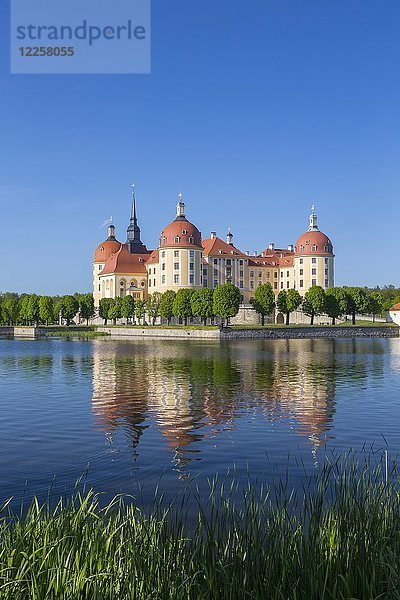 Jagdschloss Moritzburg mit See  Sachsen  Deutschland  Europa