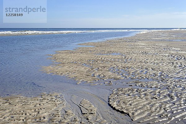 Strand bei Ebbe  wellenartige Struktur  Riffel im nassen Sand  Nordsee  Norderney  Ostfriesische Inseln  Niedersachsen  Deutschland  Europa