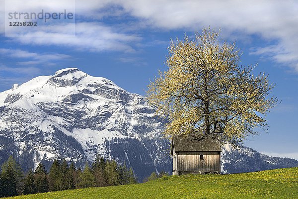 Kupfererkapelle im Frühling  Gallzein  Tirol  Österreich  Europa
