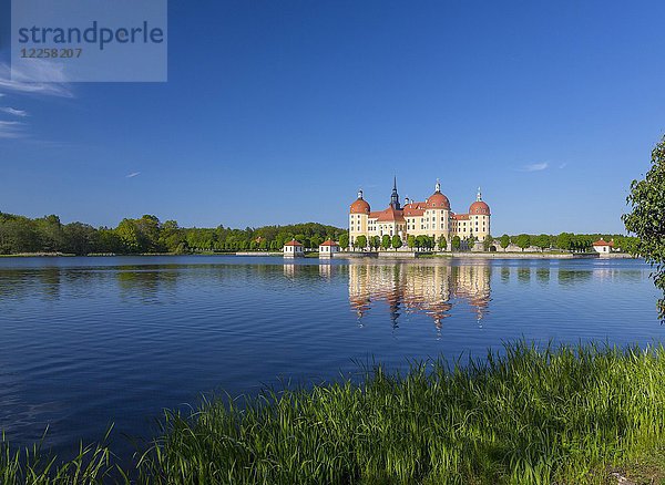 Jagdschloss Moritzburg mit See  Sachsen  Deutschland  Europa