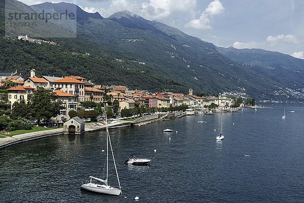 Blick auf die Altstadt von Cannobio  Lago Maggiore  Provinz Verbano-Cusio-Ossola  Region Piemont  Italien  Europa