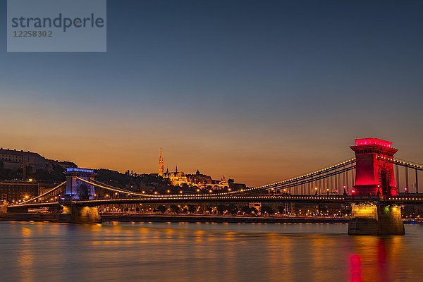 Beleuchtete Kettenbrücke über die Donau zur Blauen Stunde  Budapest  Ungarn  Europa