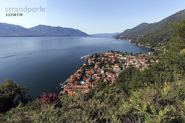 Blick auf die Riviera von Cannero und den Lago Maggiore  Provinz Verbano-Cusio-Ossola  Region Piemont  Italien  Europa