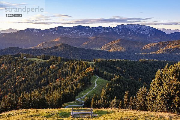 Brauneck und Benediktenwand  Blick vom Zwiesel bei Wackersberg  Isarwinkel  Oberbayern  Bayern  Deutschland  Europa