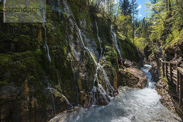 Kleine Wasserfälle und Wimbach in der Wimbachschlucht  Wimbachtal  Ramsau bei Berchtesgaden  Berchtesgadener Land  Oberbayern  Bayern  Deutschland  Europa
