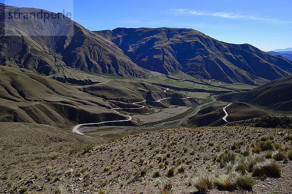 Kurvenreiche Schotterstraße zur Cuesta del Obispo  Nationalpark Los Cardones  Ruta RP 33  Provinz Salta  Argentinien  Südamerika