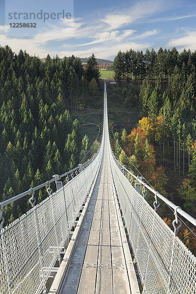 Hängeseilbrücke Geierlay  Mörsdorfer Bachtal  Mörsdorf  Hunsrück  Rheinland Pfalz  Deutschland  Europa