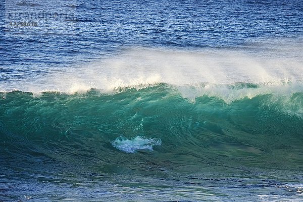 Brechende Welle  Atlantik  La Gomera  Kanarische Inseln  Kanarische Inseln  Spanien  Europa