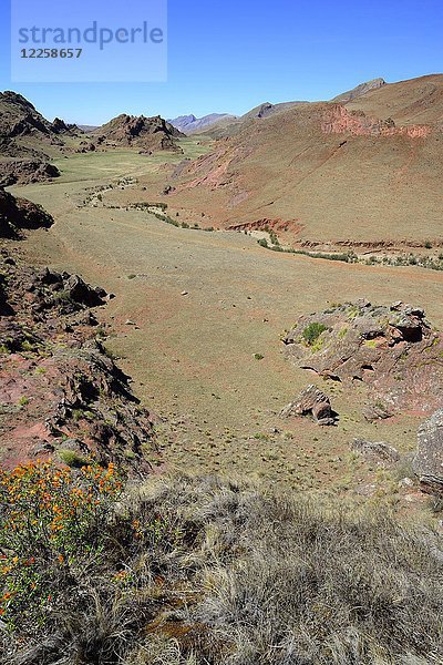 Blick in das karge Tal Valle Encantado  Nationalpark Los Cardones  Ruta RP 33  Provinz Salta  Argentinien  Südamerika