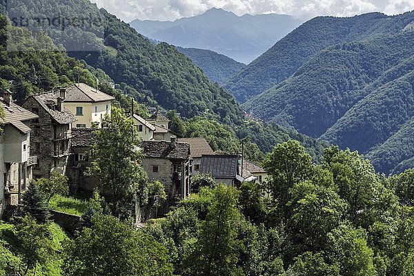 Blick auf das Dorf Crana  Onsernonetal  Valle Onsernone  Kanton Tessin  Schweiz  Europa