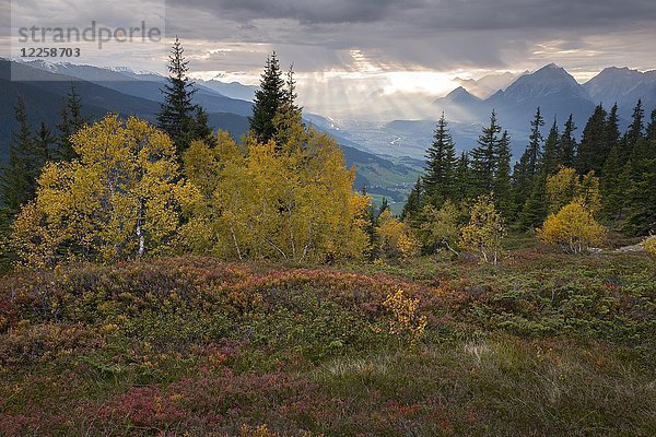 Naunz im Herbst  Kellerjoch  Tuxer Voralpen  im Hintergrund das Unterinntal  Tirol  Österreich  Europa
