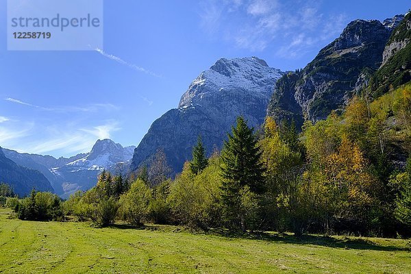 Falzthurntal  bei Pertisau  Karwendelgebirge  Tirol  Österreich  Europa