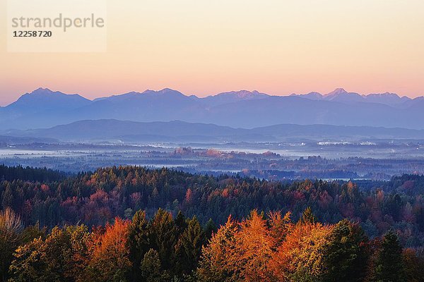 Blick von der Peretshofener Höhe bei Dietramszell auf die Ammergauer Alpen  Morgenstimmung  Oberbayern  Alpenvorland  Bayern  Deutschland  Europa