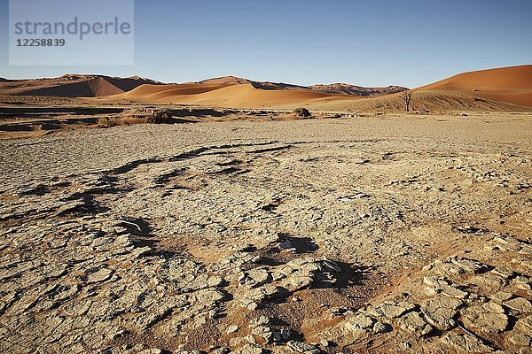 Ausgetrocknete Erde vor Sanddünen  Salz-Ton-Pfannen  Sossusvlei  Namib-Wüste  Namib-Naukluft-Nationalpark  Namibia  Afrika